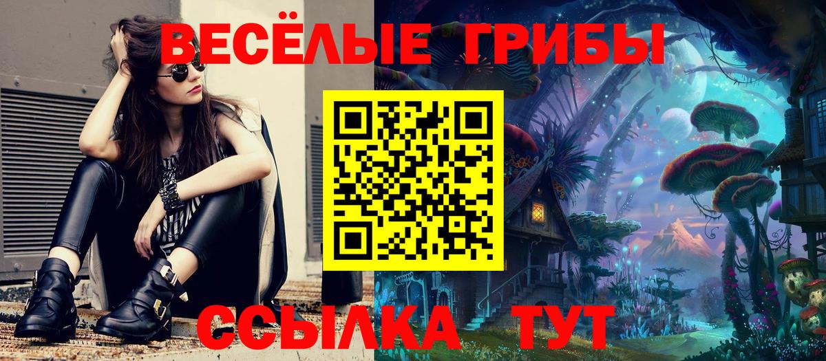 Ахтубинск  Галлюциногенные грибы ЛСД  Галлюциногенные грибы Psilocybe  Вход с VPN 
