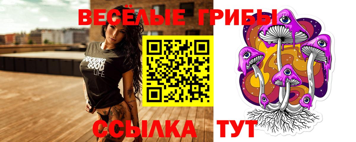Галлюциногенные грибы MAGIC MUSHROOMS Ахтубинск